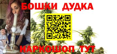 PSILOCYBIN Будённовск