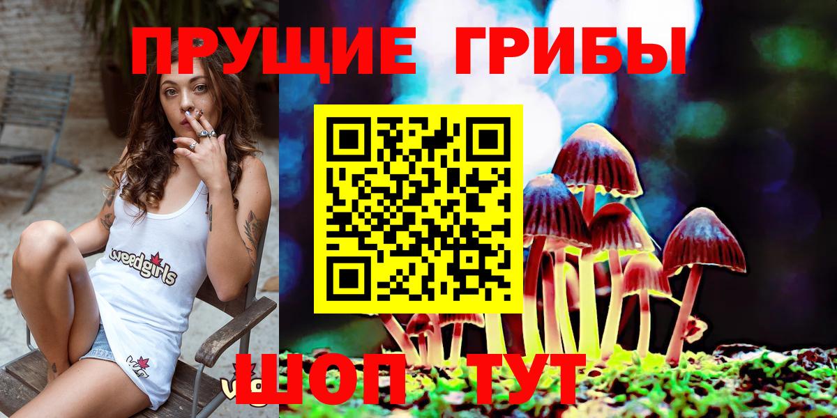 Псилоцибиновые грибы Magic Shrooms  Вход с VPN  Евпатория 
